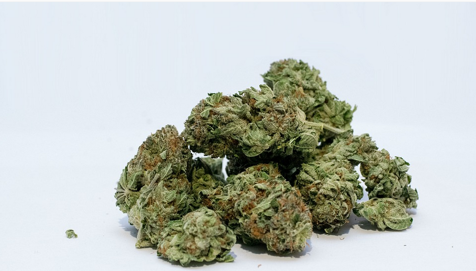 medical marijuana