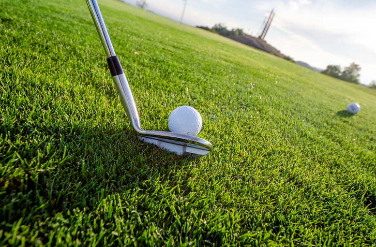 swings